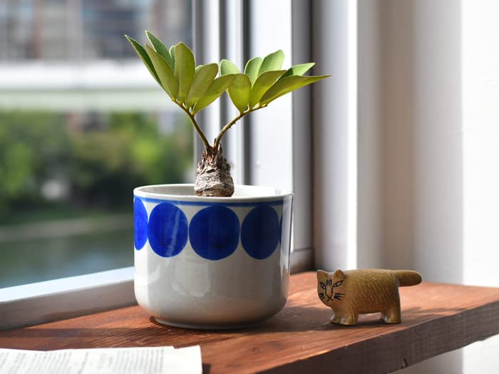 Amazon.co.jp: Lisa Larson（リサ・ラーソン） Flora 植木鉢